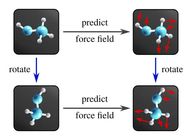 Commutative diagram for rotation equivariant molecular force field prediction