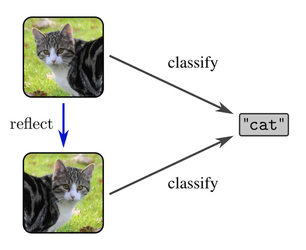 Commutative diagram for reflection invariant image classification