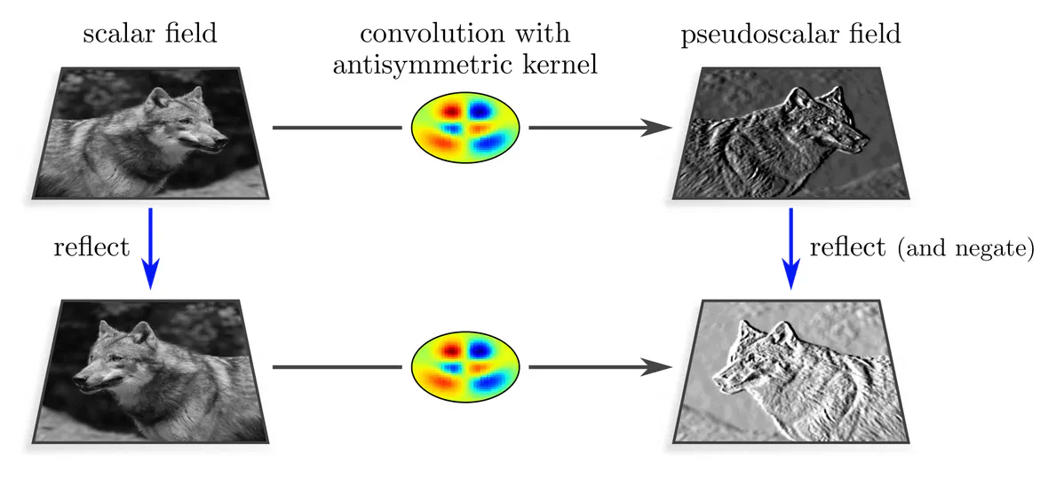 Reflection steerable convolution from scalar to pseudoscalar fields via antisymmetric kernels