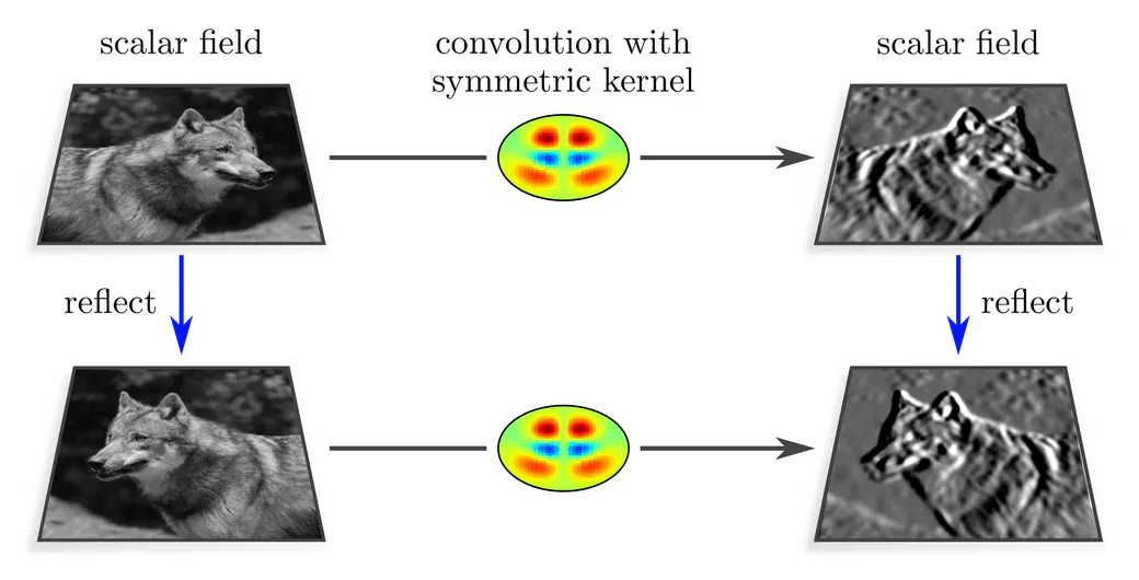 Reflection steerable convolution between scalar fields via symmetric kernels