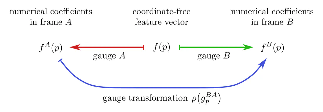 Gauges and gauge transformations of feature vectors.