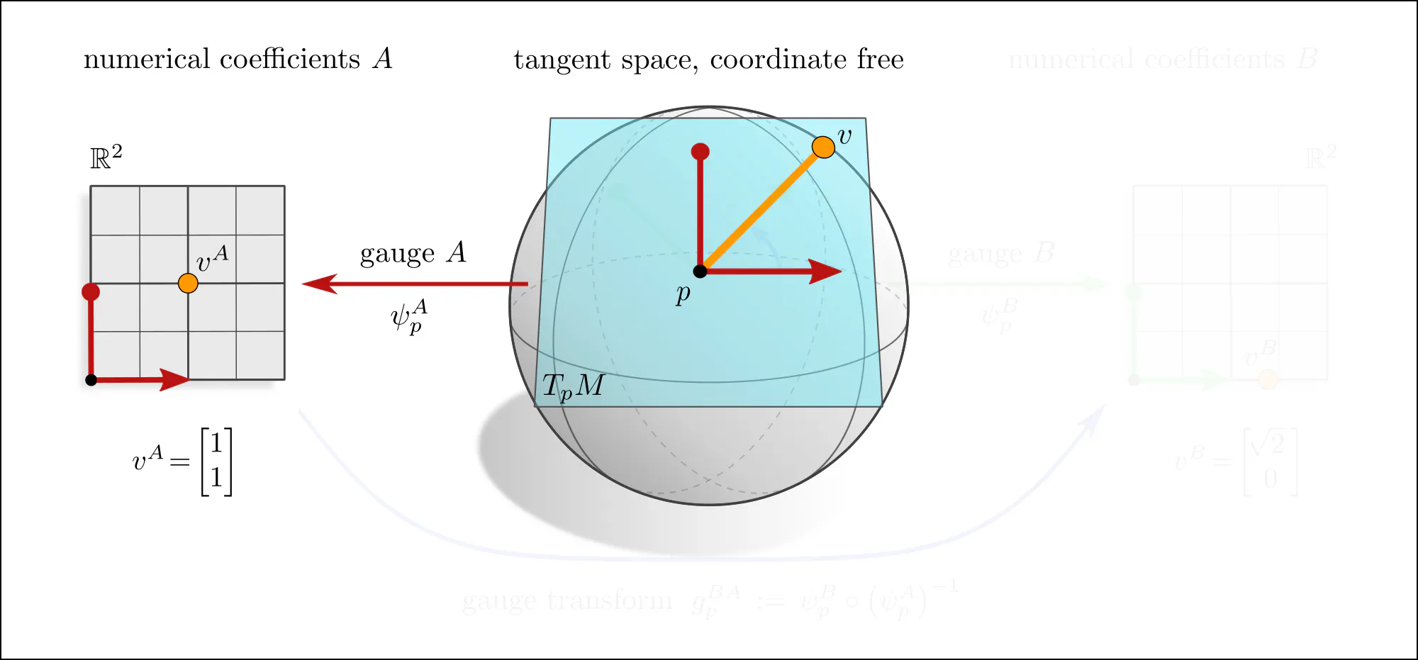 Gauges as coordinate representations of a single tangent space TpM, slide 2