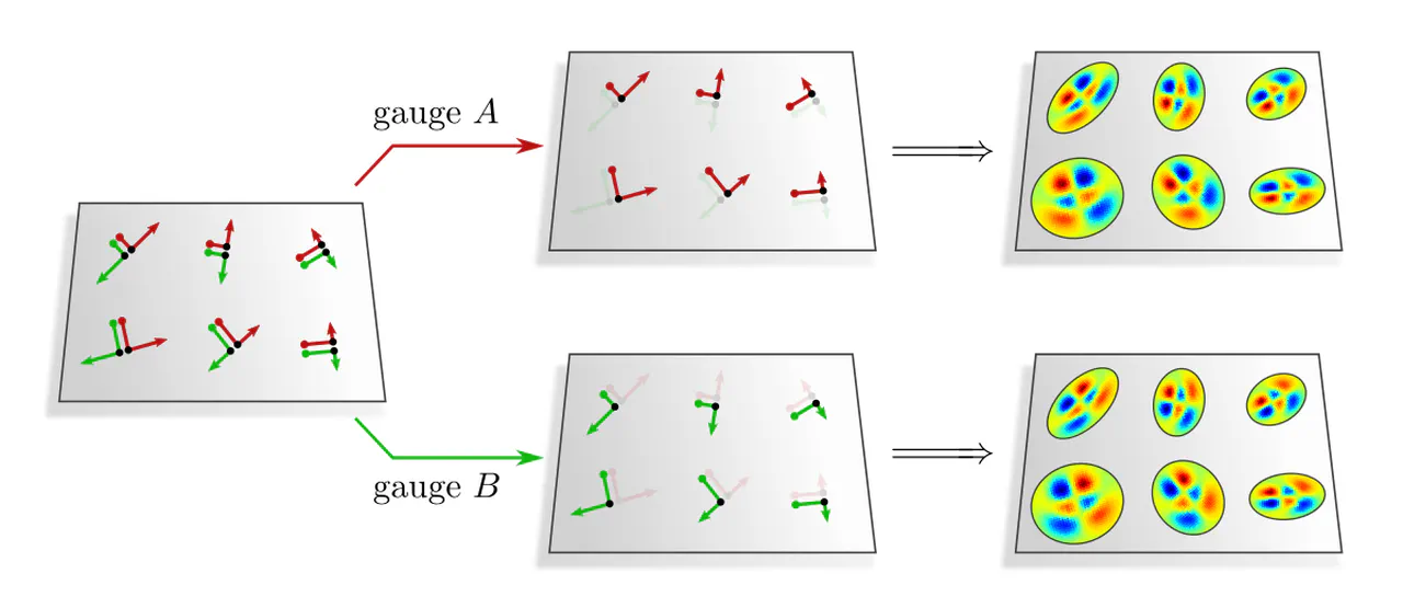 Weight sharing of reflection steerable kernels along different gauges of a reflection group structure.