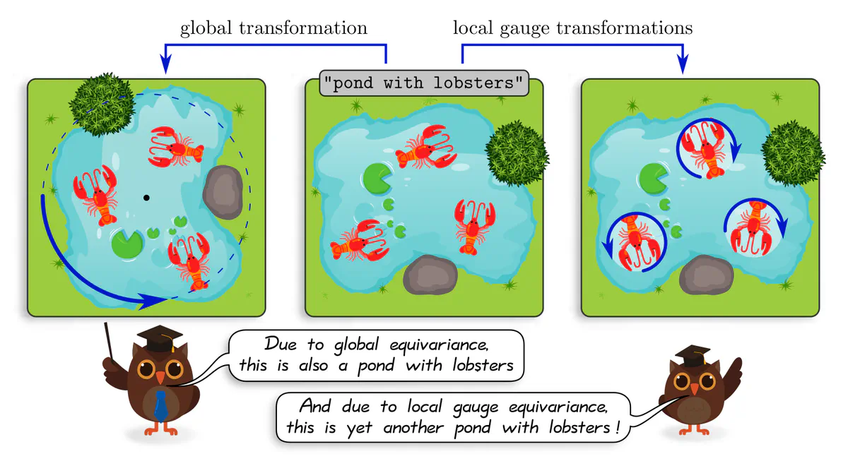 Comparison of global and local transformations